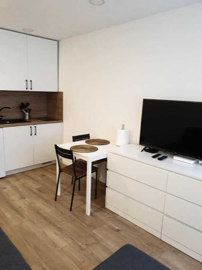 Studio Rent In Zarasai Exterior foto